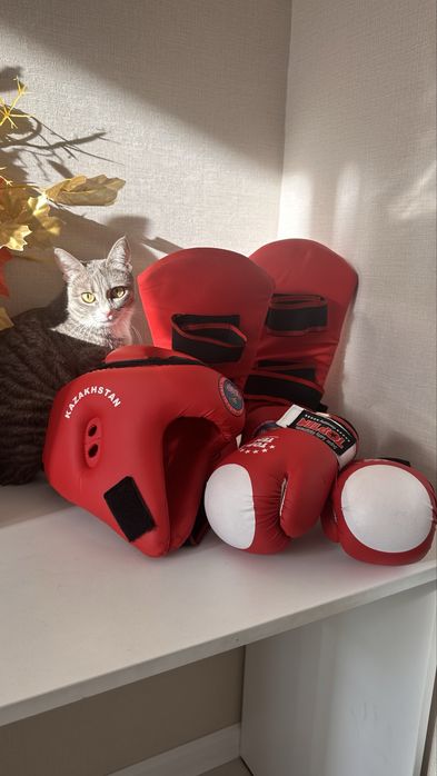 Накладки доя тхэквондо