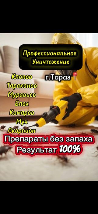 Дезинфекция всех насекомых 24/7