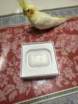 Наушники-Airpods3