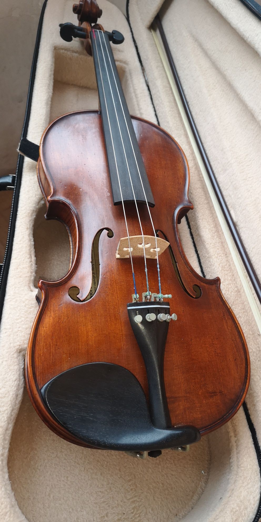 Arcuș vioara Glosser
