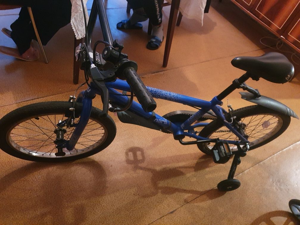 Bicicleta  albastră
