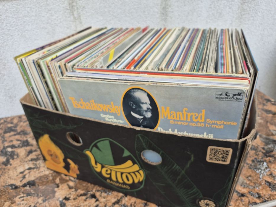 Vând Lot 200lp Discuri Vinil muzică clasică mixta pentru pick up

Arti