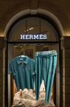 Compleu Hermes calitate