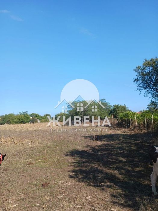 Продавам парцел - 5603 кв.м, в с.Камен бряг, обл. Добрич