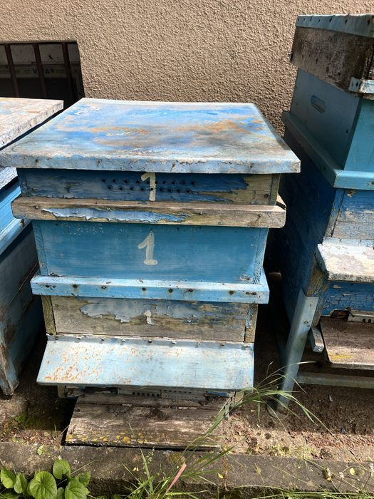 Кошери 10рамкови-дадан блат