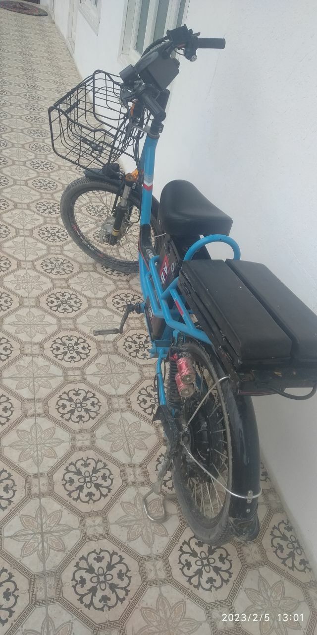 Elektro velosepet