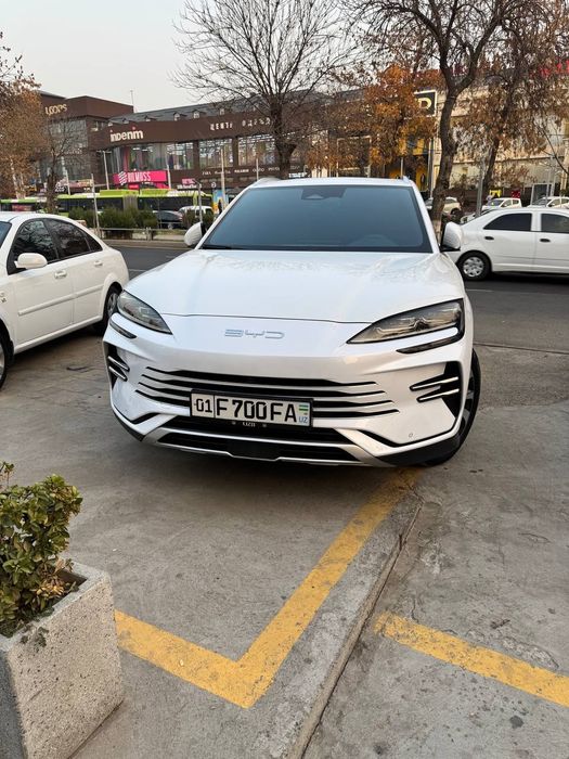 BYD champion Hybrid 2024-yil