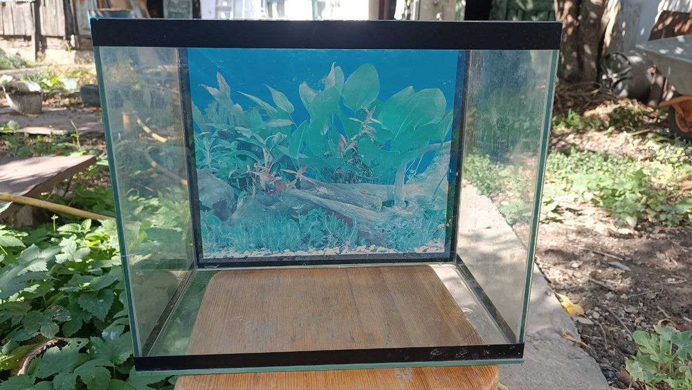 Аквариум 24 литра