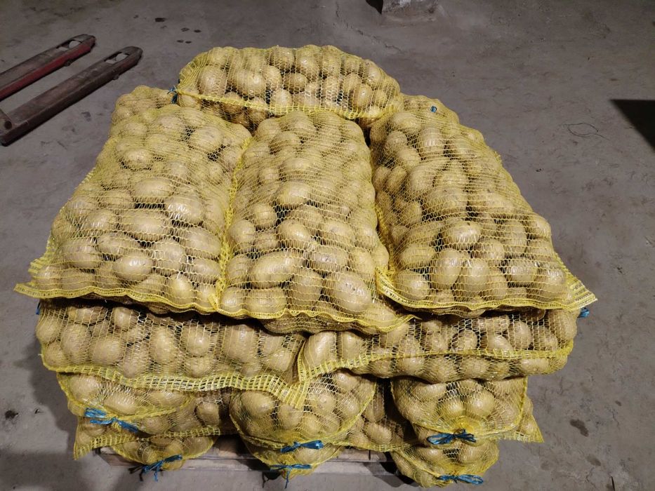 Сорт Сорая 0.85ст