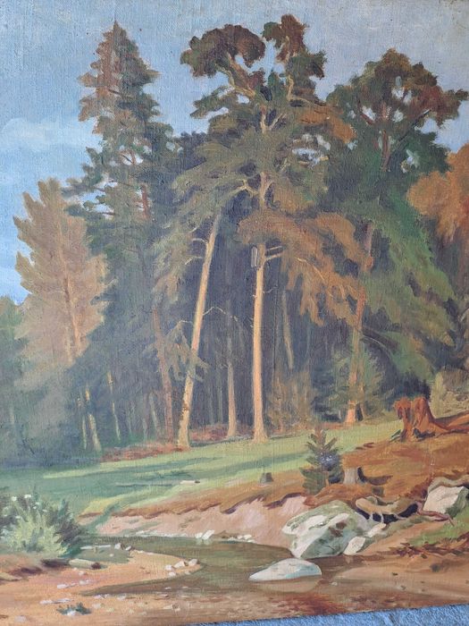 tablou pictura pe panza semnat c lecca 100 /75 m