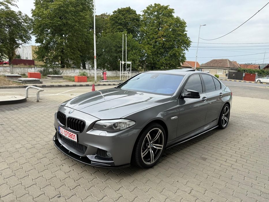 BMW 530 2011 M Paket 2 Butoane Trapa