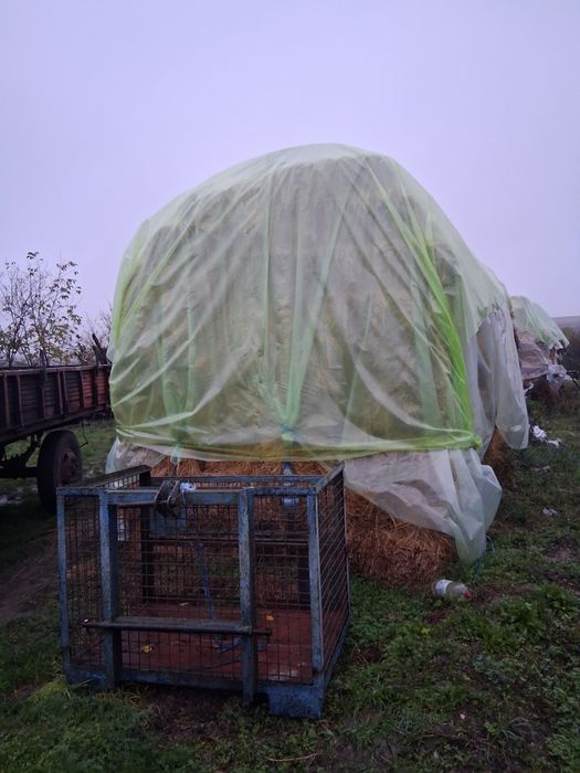 Baloți de fân 300 bucăți