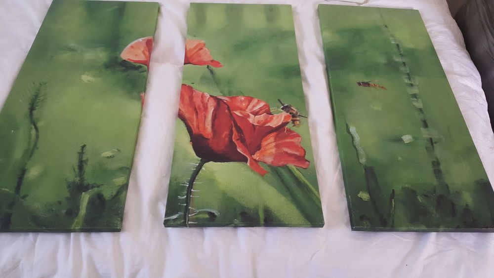 Tablou cu maci superb canvas