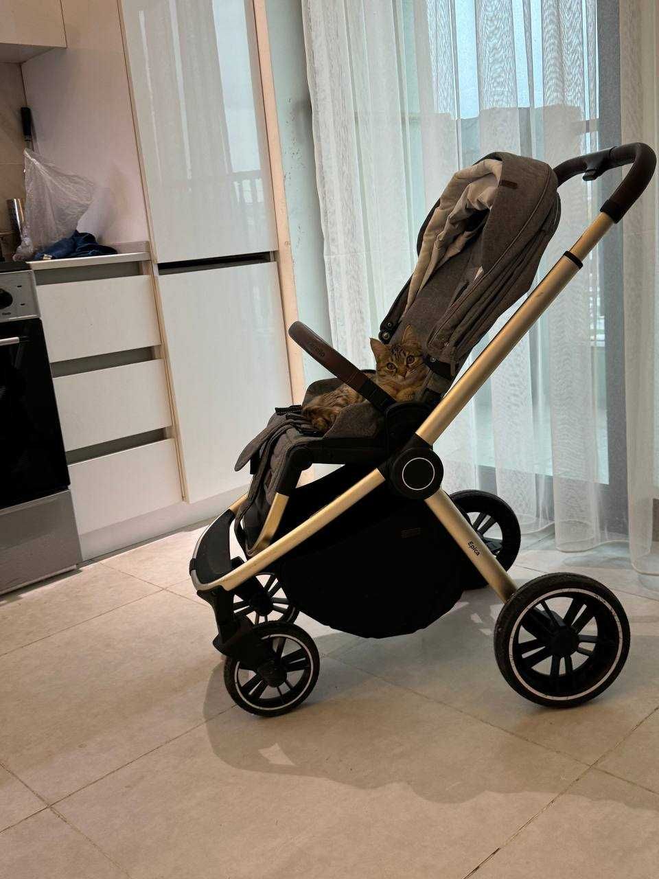 Прогулочная коляска Carello Epica