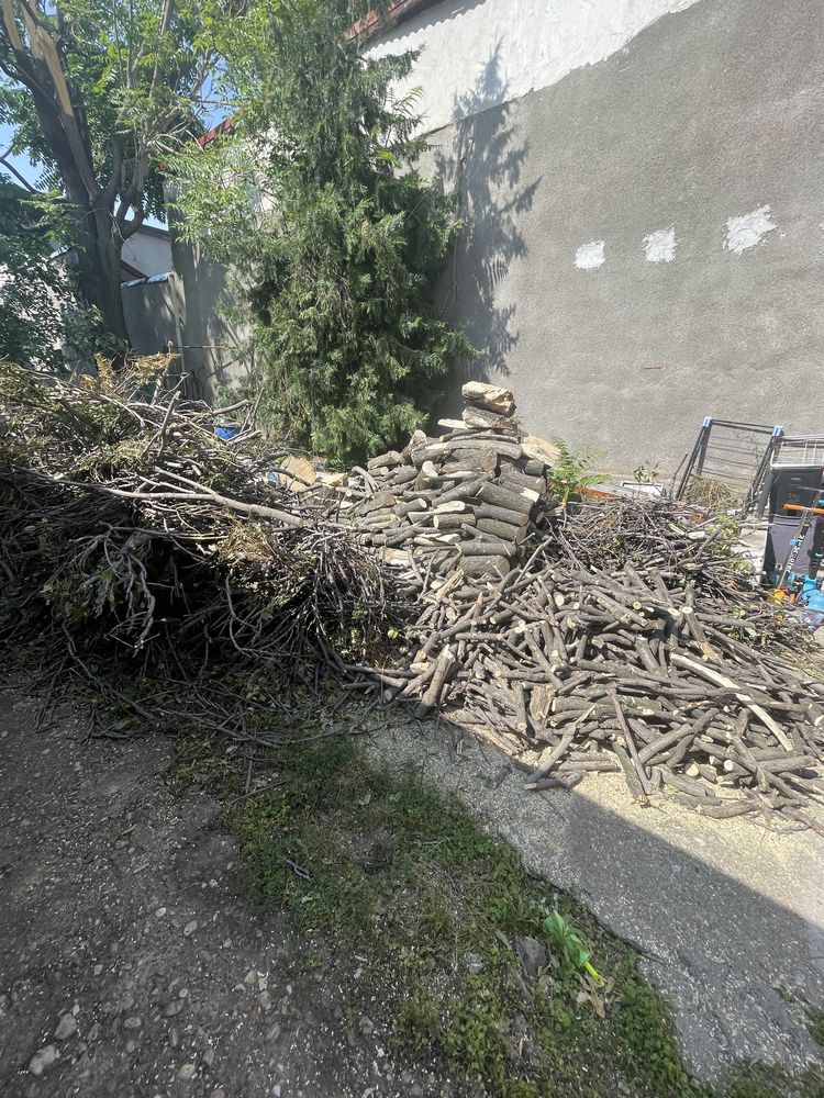 Vand lemne de foc