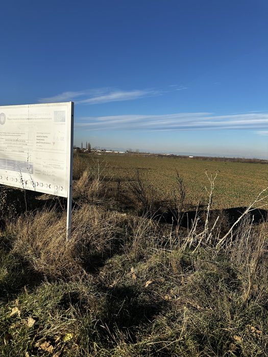 Oferta: 2 loturi intravilan 500 mp Ciolpani (la 20 min de Bucuresti)