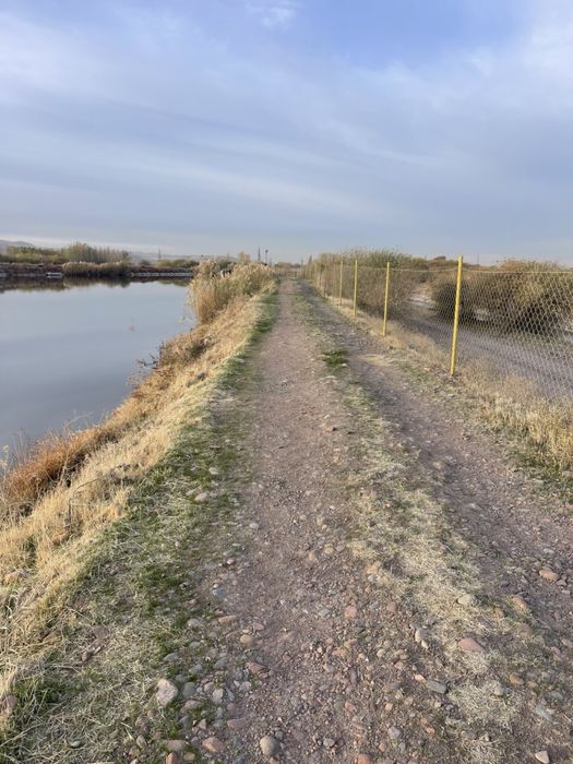 Продается Рыб хоз (готовый бизнес)