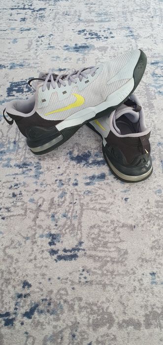 Nike air max Alpha trainer 5