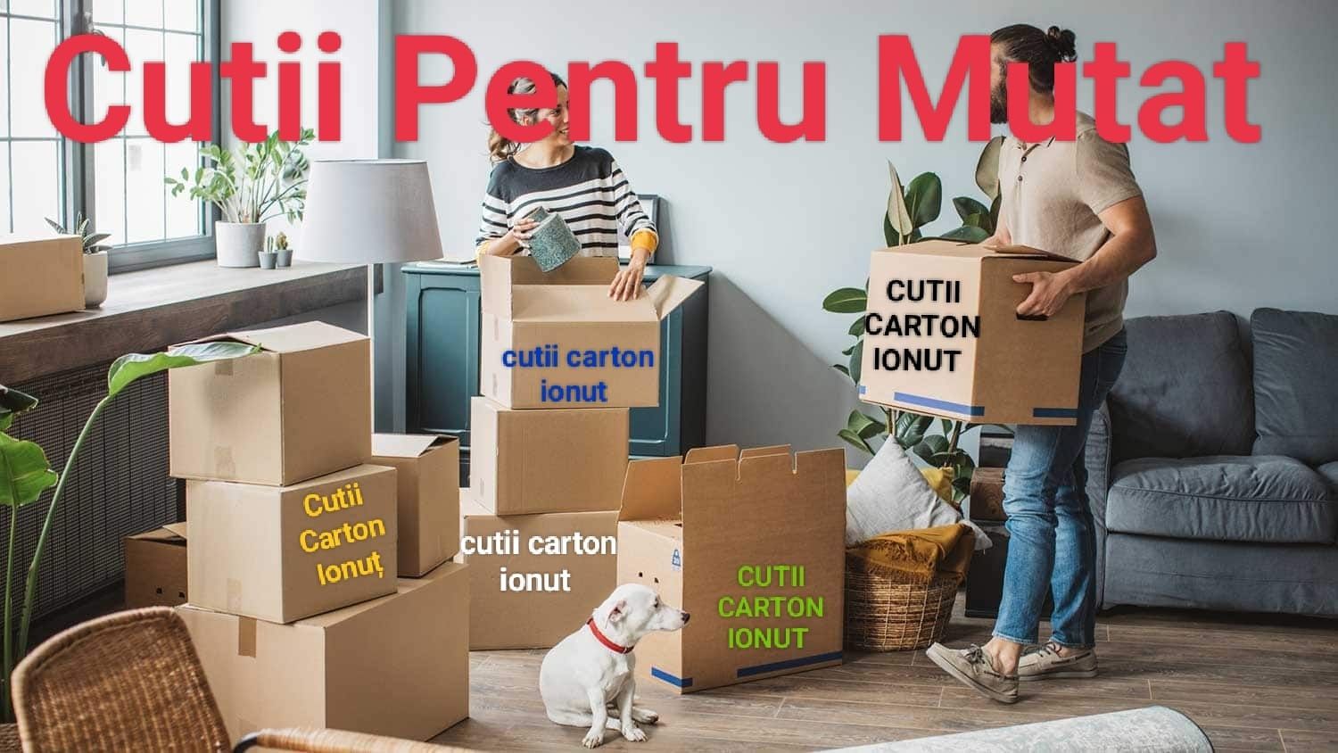 Cutii pentru mutat