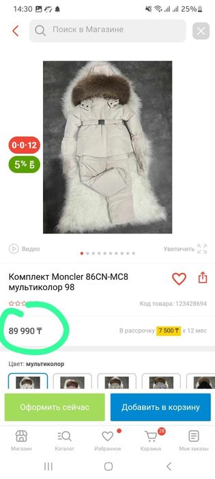 Зимний комбинезон Монклер