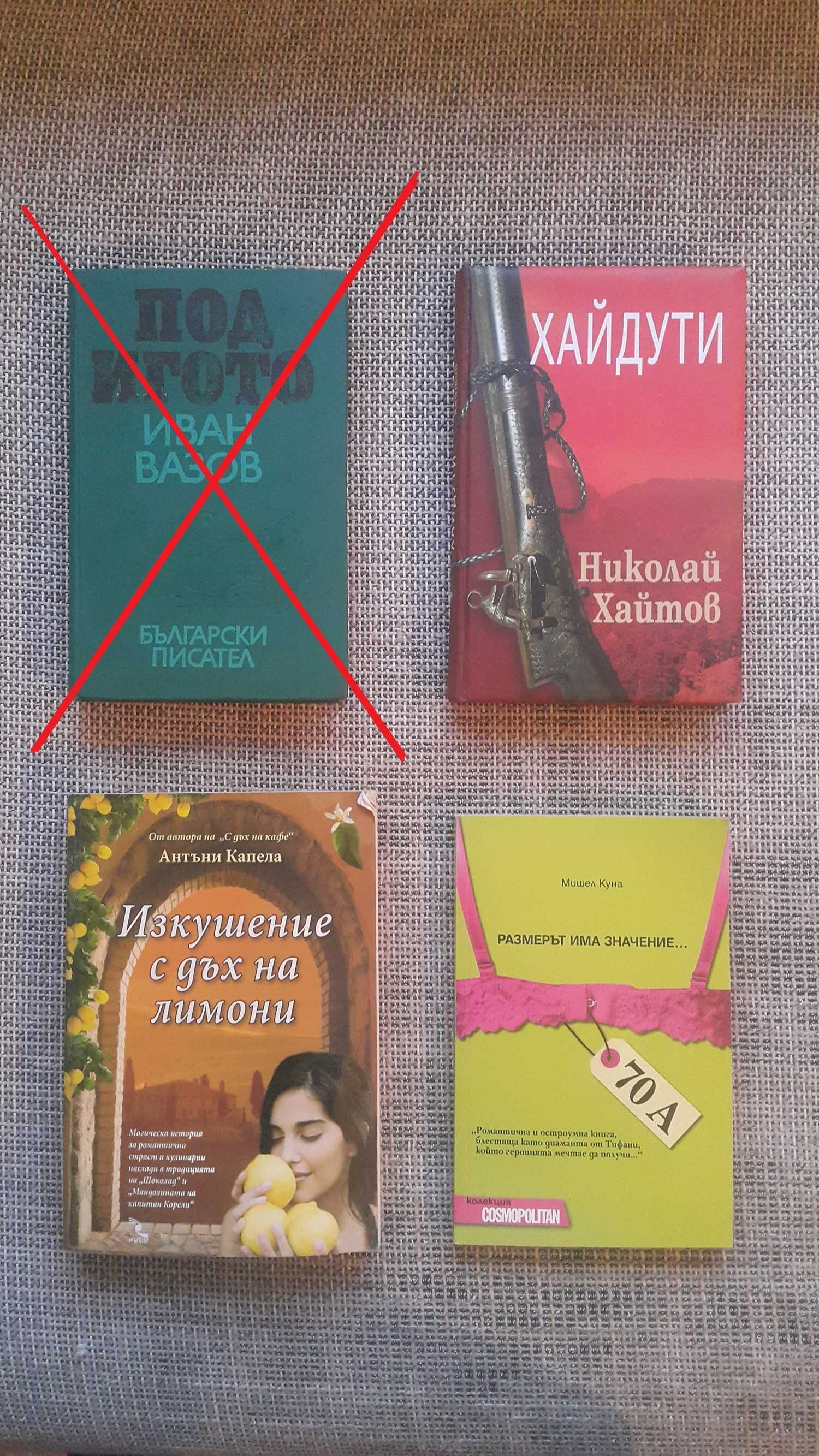 Книги на Иво Сиромахов,  Любен Дилов-син и други
