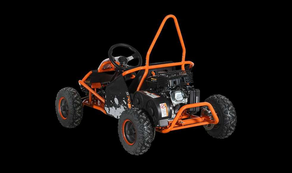 MYMOTO CLUJ vinde : GoKart  copii cu motor benzina KAYO - S70