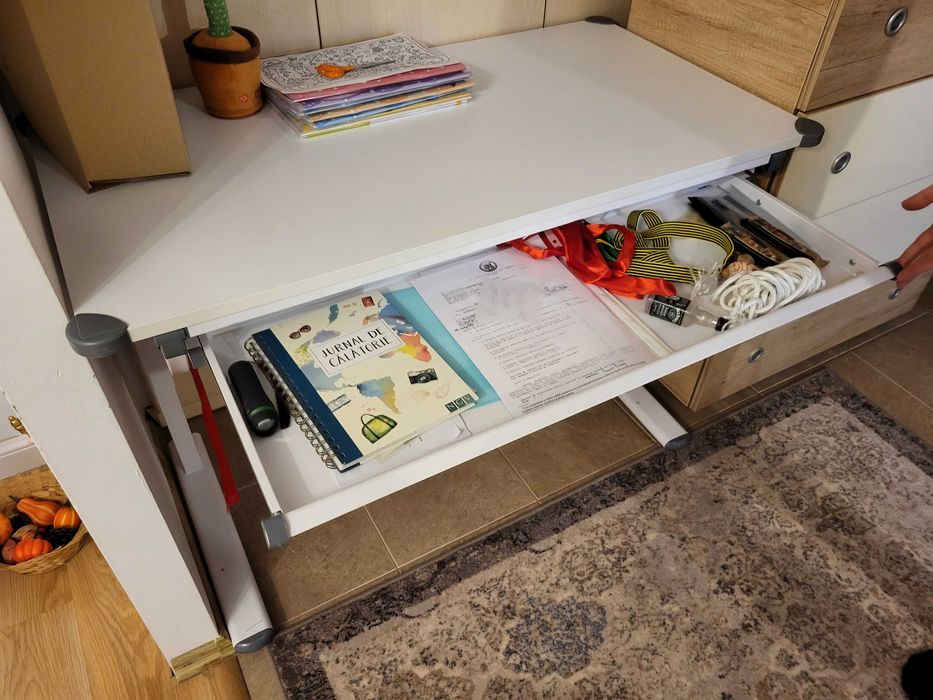 Birou multifunctional, reglabil pe inaltime