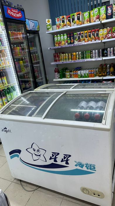 Ringer морозильник