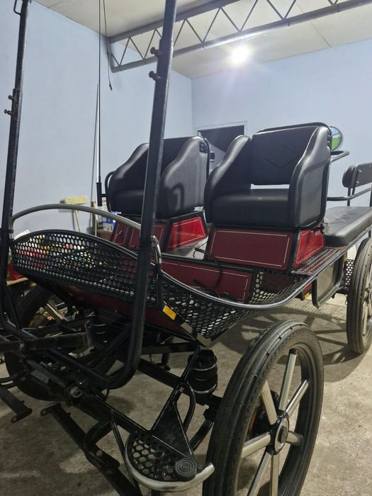 Vând maraton / trasură