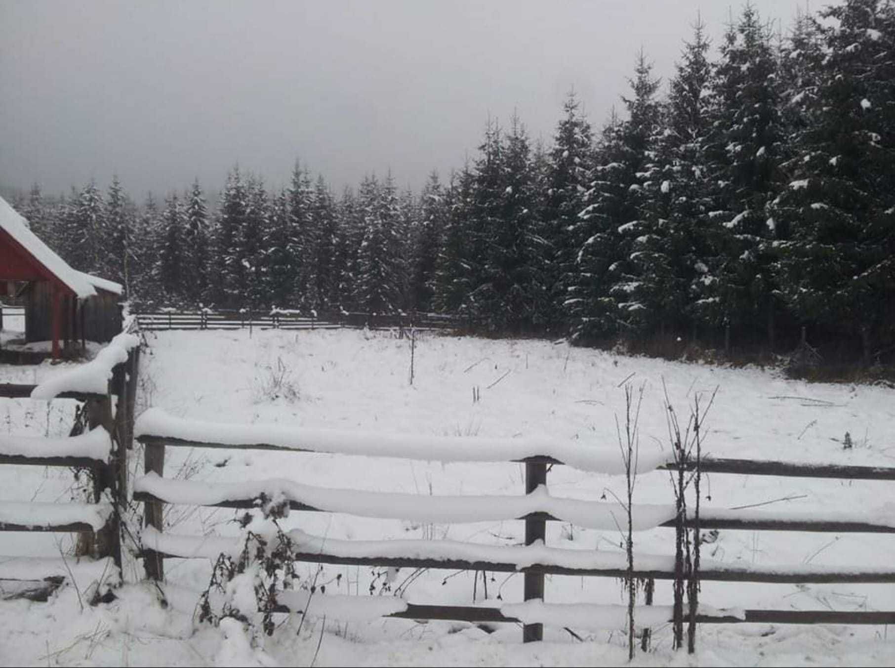 Teren intravilan la munte langa padure