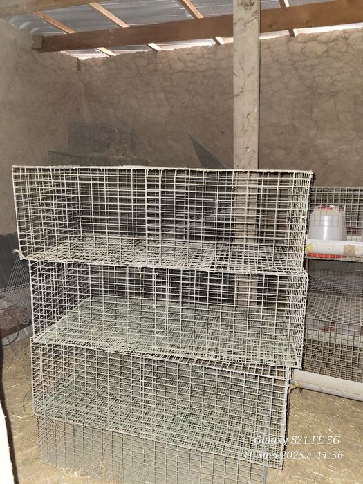 Сетка для Куры Тауыққа арналған Сеткалар