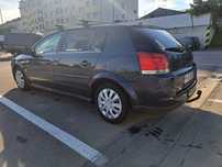 Opel Signum de familie