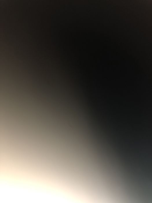 Британиский кошки