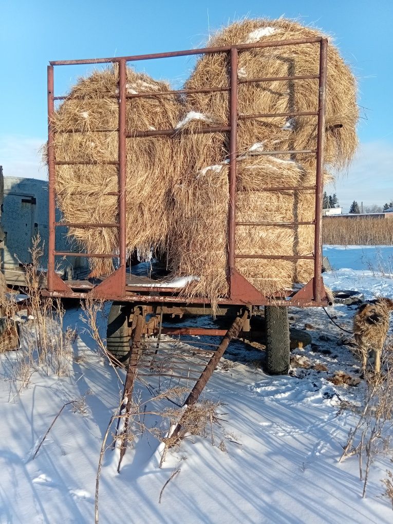 Сеновозка прицеп