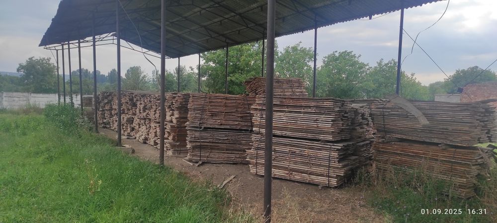 Cherestea netivită fag