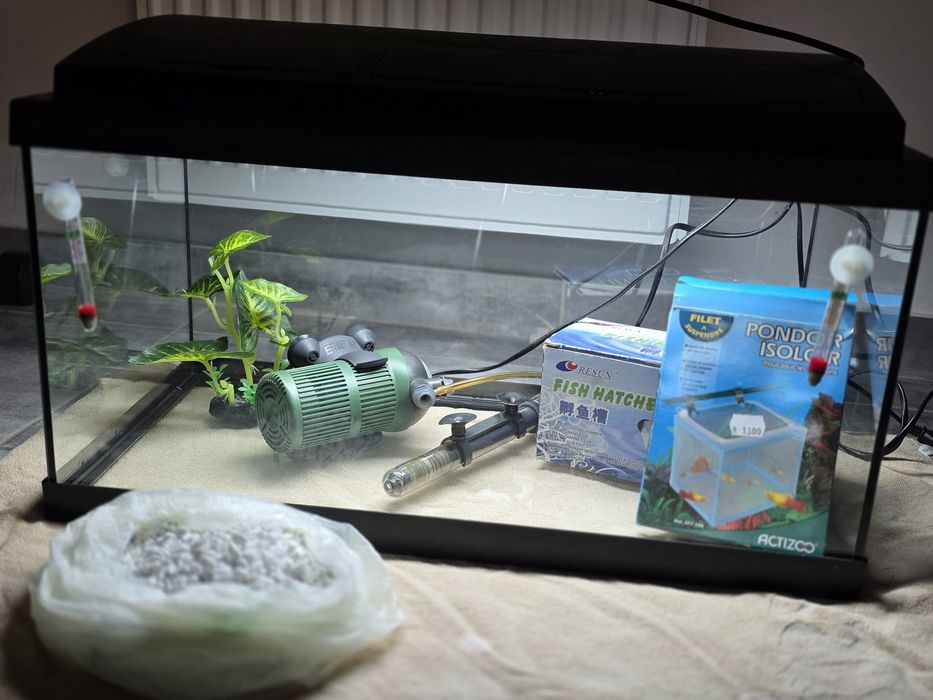 Set complet acvariu 40l