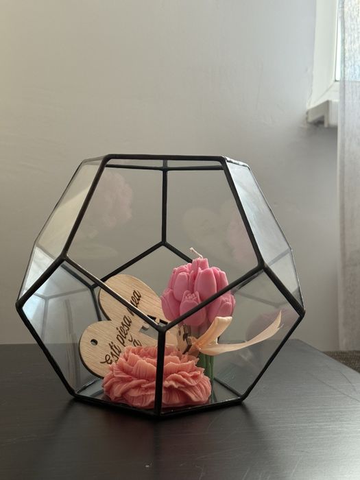 Terariu din sticlă pentru ornamente