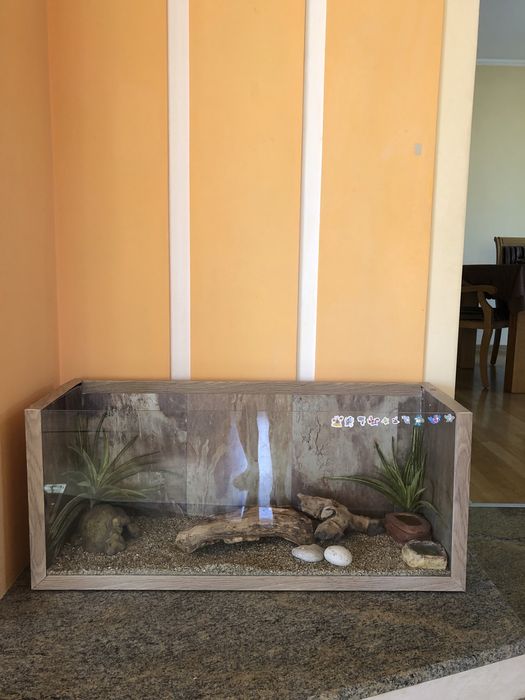 Терариум за гекон