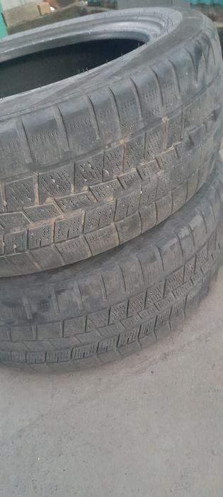 Продам шины не дорого 2 шт.