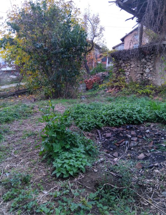 Продава къща в с.Коняво общ Кюстендил