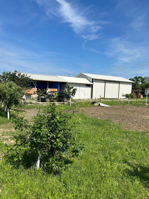 Hala birou deposit foisor beci intabulate filipesti bratasanca