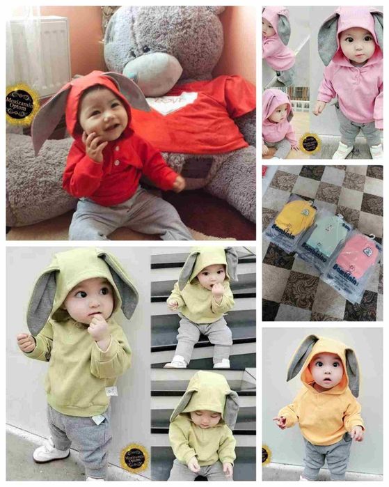 Shiringina quyoncha quloqli dvoyka