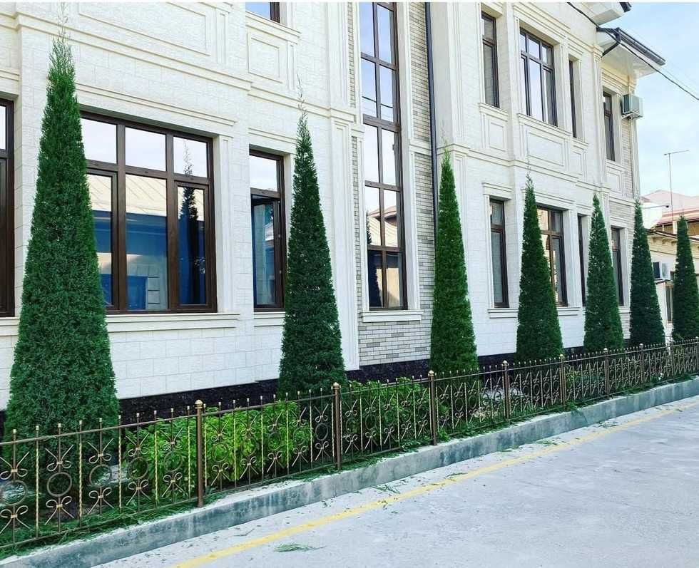 Archa va daraxtlarni kimyoviy dorilash,kesish,shakil berish,bog'bonlik