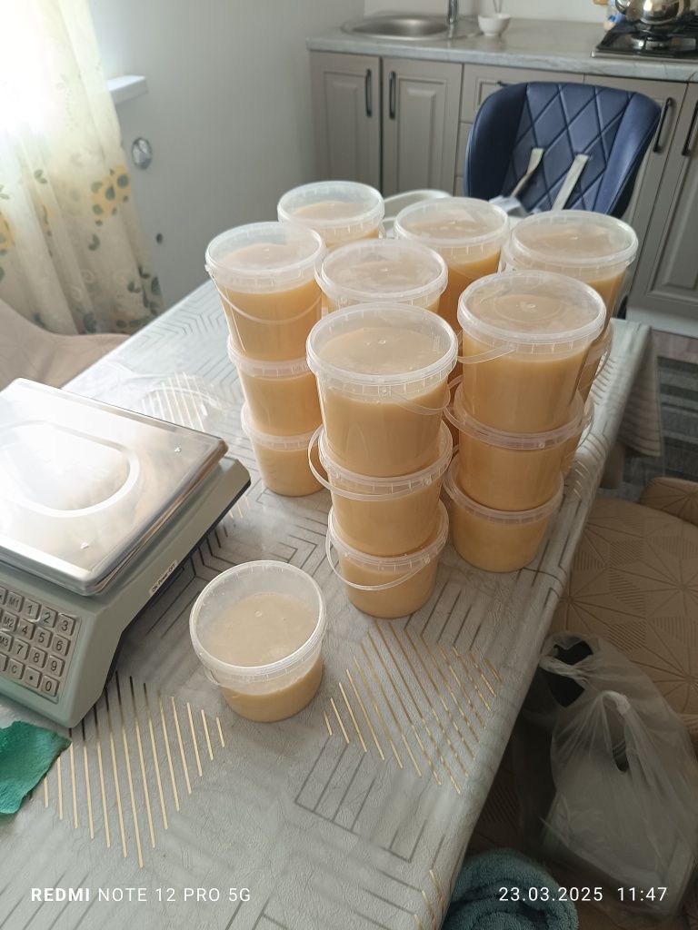 Мёд жантак верблюжья колючка заказывайте пишите сейчас!
