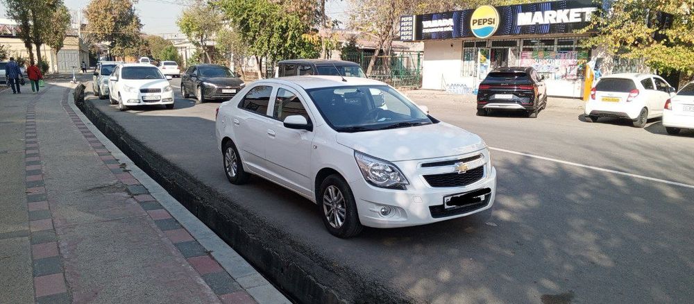 Cobalt LTZ 2024 Full