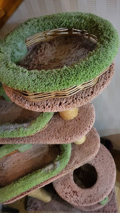 Аксессуары для кошек и котят.