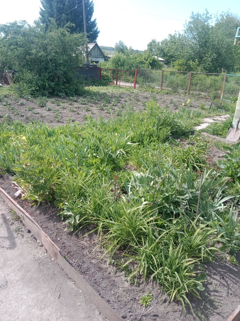 Продам дачу летний вариант