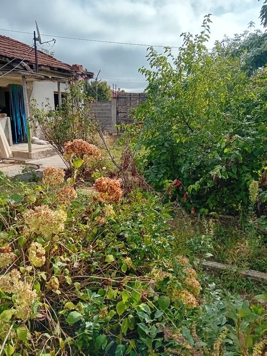 Продава се Парцел в с. Петково, Област София-област - 700 кв.м за 89 €/кв.м - Снимка #3