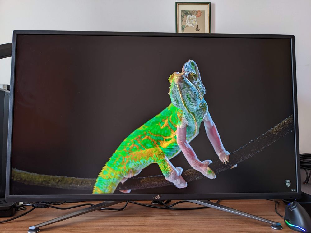 Монитор Asus ROG Strix XG43UQ (VA, 43”, 144 Hz, HDR, 1 ms, FreeSync)