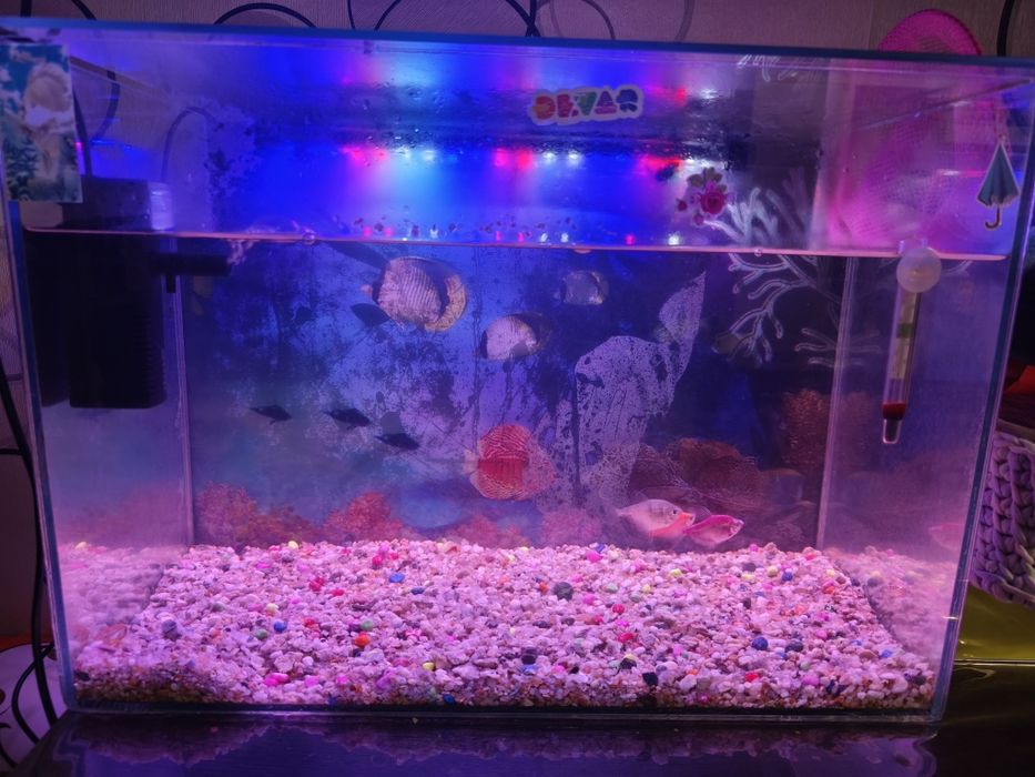 Продам аквариум на 40 литров